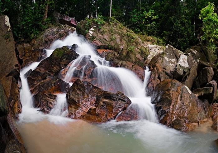 lenggeng forest
